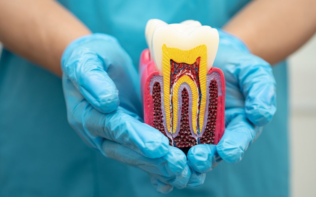 Finding Affordable Denture Repairs in Christies Beach, SA, That Last for Years