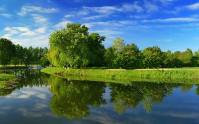 Create a Safer Outdoor Space Using Vegetation Management Daylesford VIC Professionals