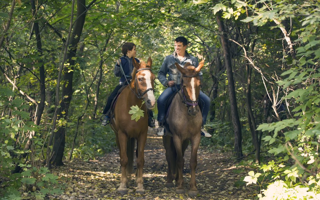 Unforgettable School Holidays Await at Horse Riding Camp Wollongong NSW