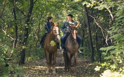 Unforgettable School Holidays Await at Horse Riding Camp Wollongong NSW