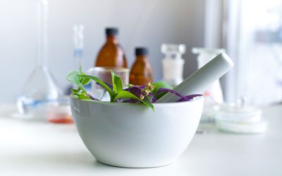 Homeopathic Support Wellington NZ and Its Value for Wellness in New Zealanders’ Lifestyles