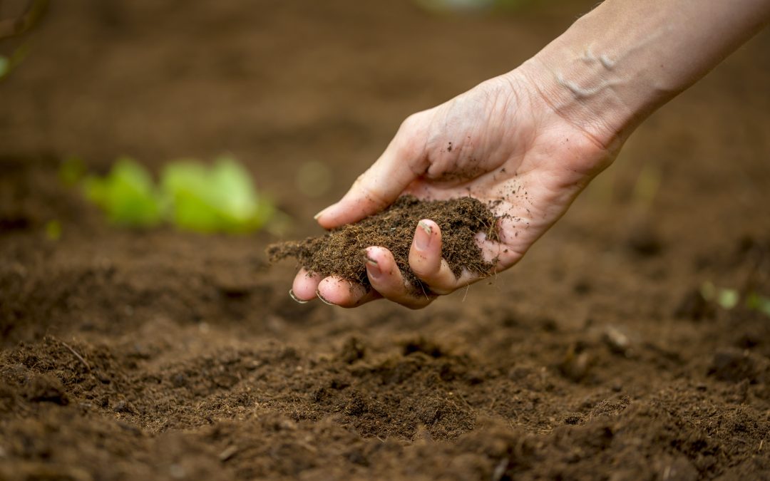Key Benefits of Soil Investigation Brisbane QLD for Homeowners and Builders